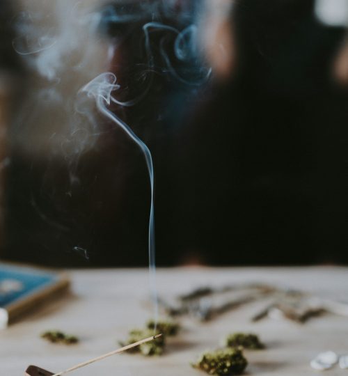 annie-spratt-qfdBPFMSVPM-unsplash