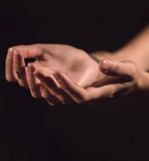 milada-vigerova-iQWvVYMtv1k-unsplash